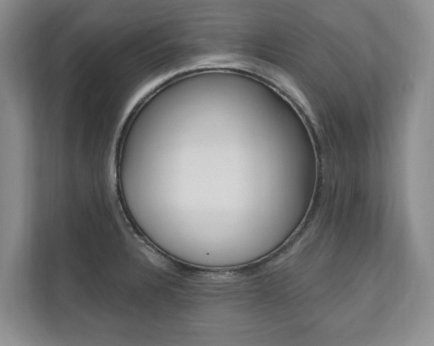 X0000110741328200906150921