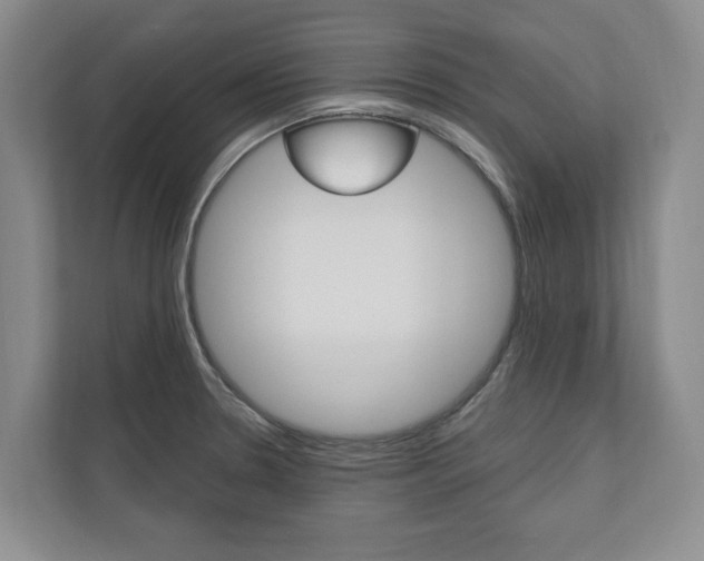 X0000110741330200906150921