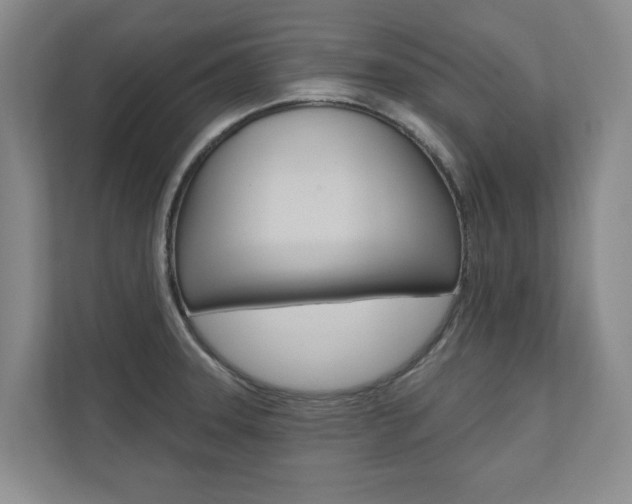 X0000110741331200906150921