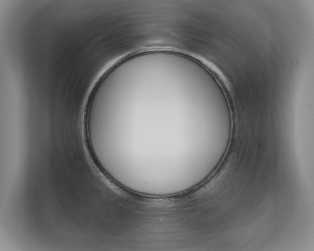 X0000110741333200906150921