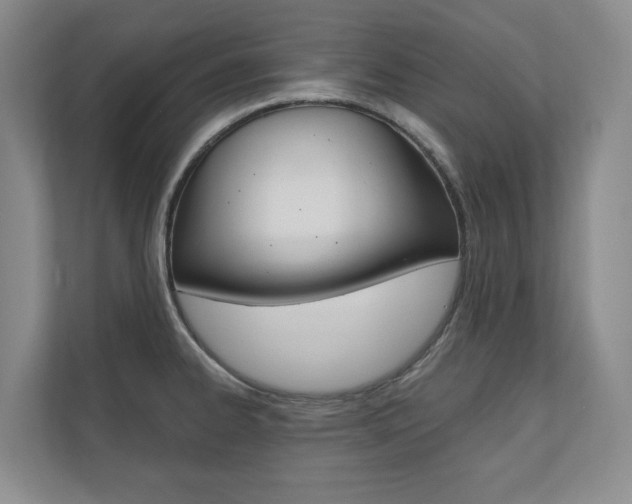 X0000110741334200906150921