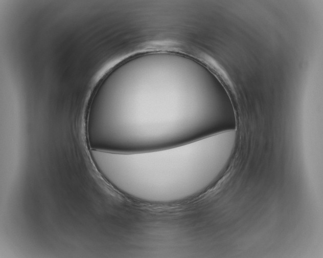 X0000110741336200906150921