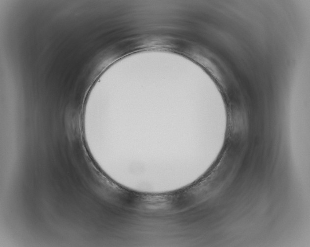 X0000110741338200906150921