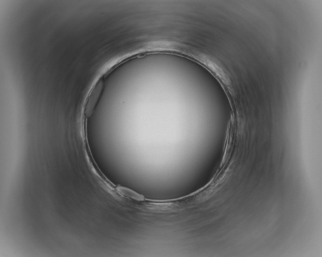 X0000110741342200906150921