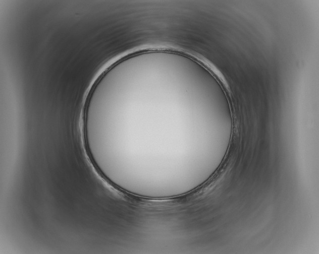 X0000110741343200906150921