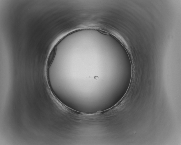 X0000110741344200906150921