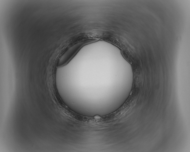 X0000110741345200906150921