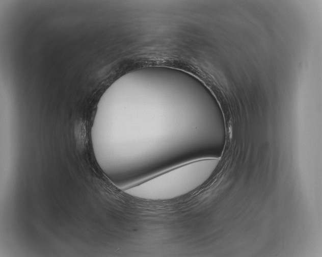 X0000110741347200906150920