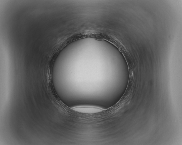 X0000110741348200906150920