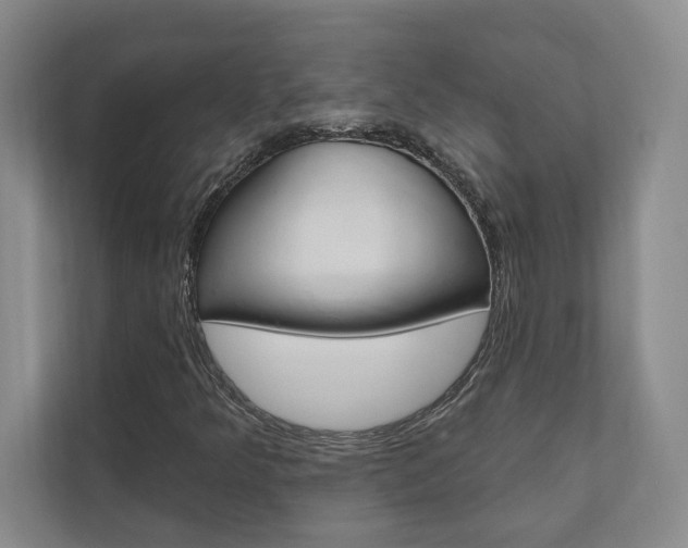 X0000110741349200906150920