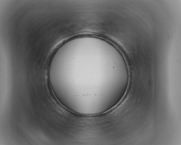 X0000110741355200906150920