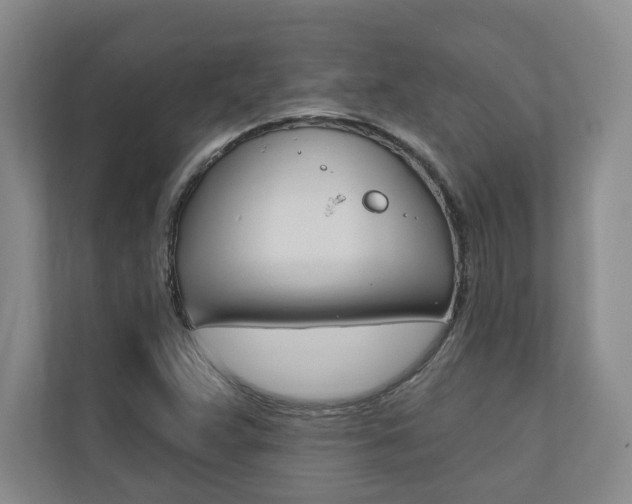 X0000110741359200906150920