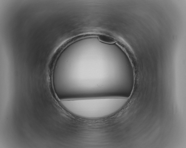 X0000110741360200906150920
