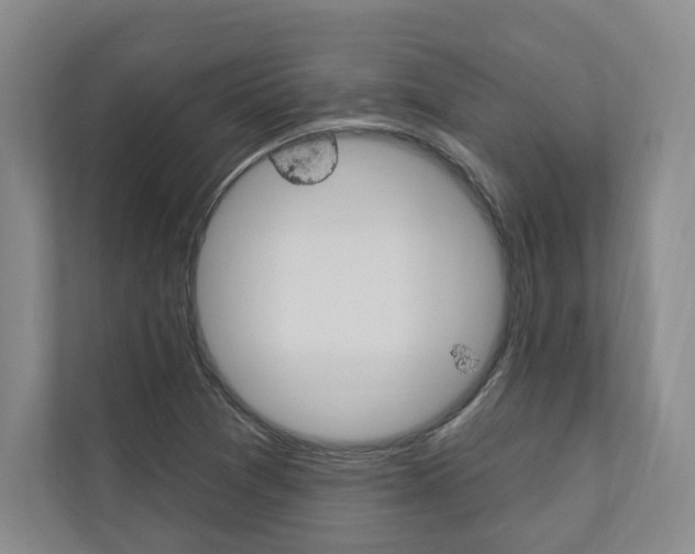 X0000110741361200906150920