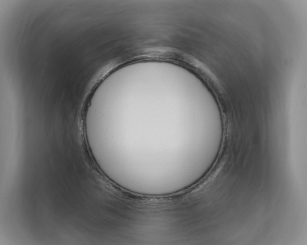 X0000110741362200906150920