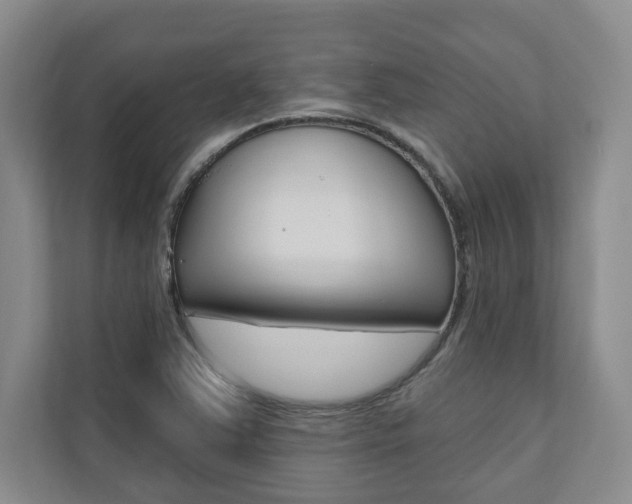 X0000110741363200906150920