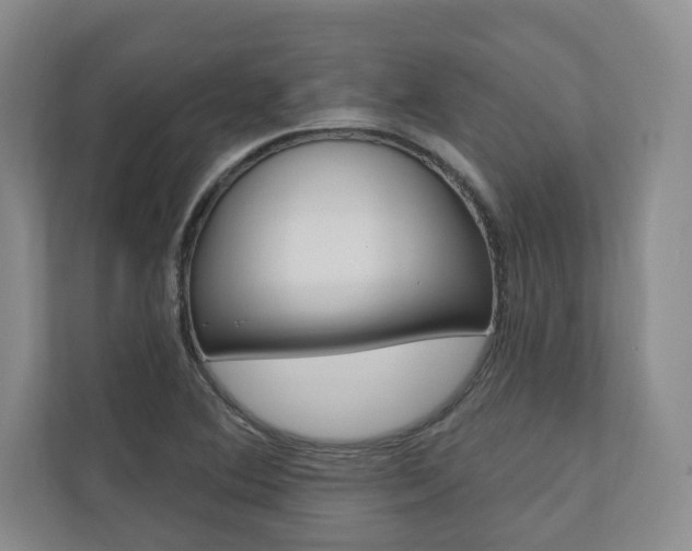 X0000110741364200906150920