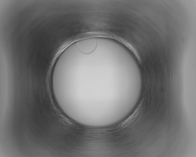 X0000110741365200906150920