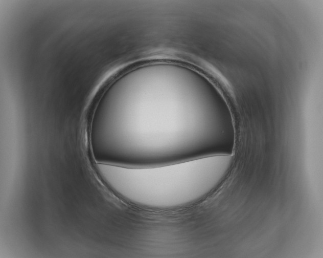 X0000110741368200906150920