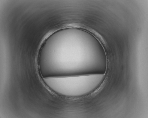 X0000110741373200906150920