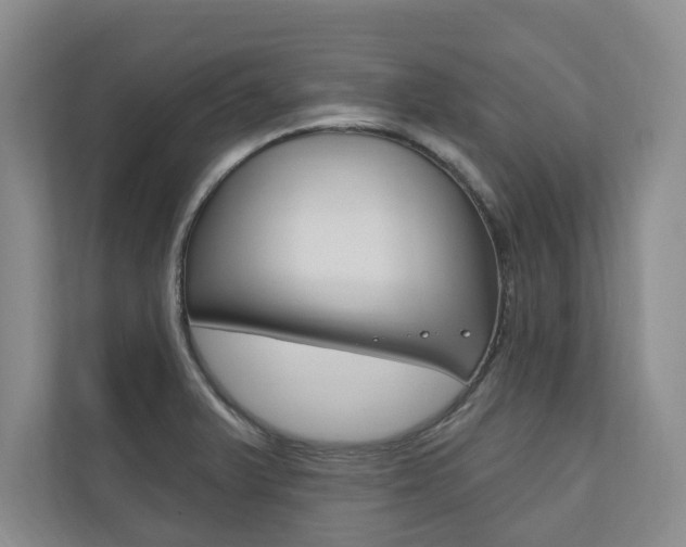 X0000110741375200906150920