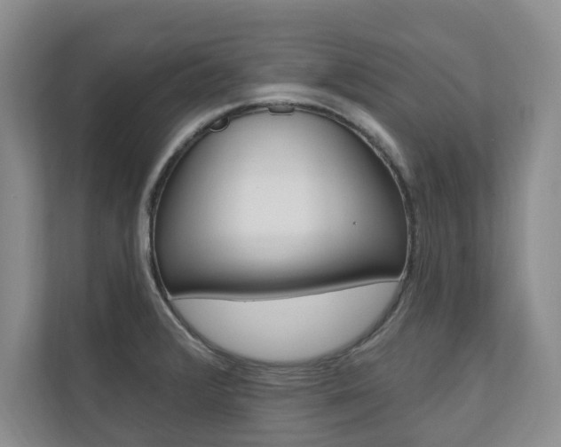 X0000110741376200906150920
