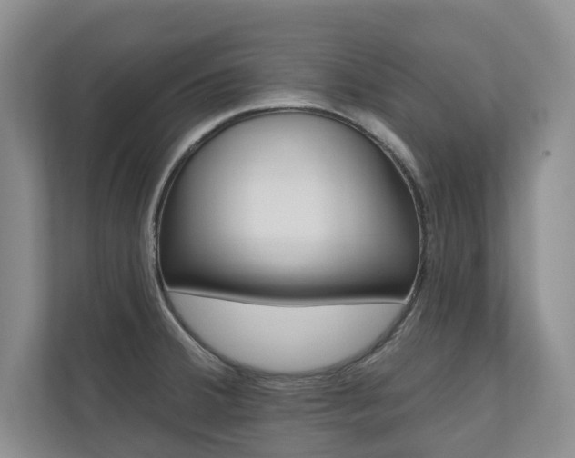 X0000110741380200906150920