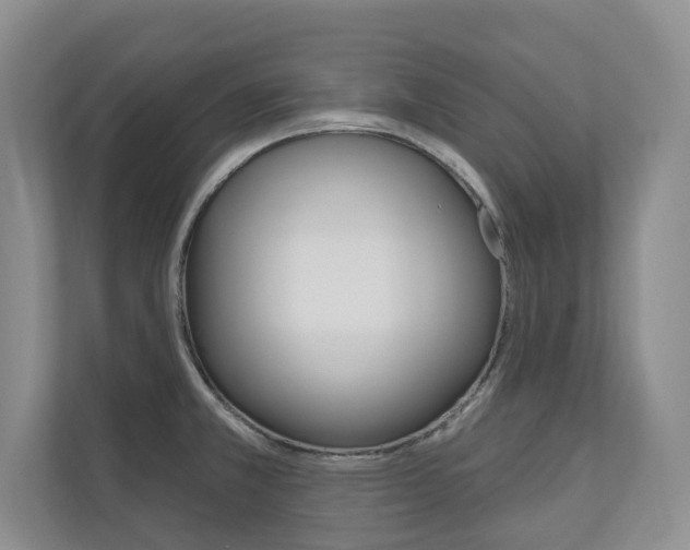 X0000110741381200906150920