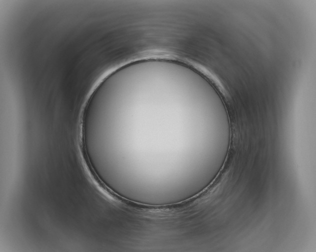 X0000110741383200906150920