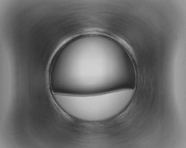 X0000110741384200906150920