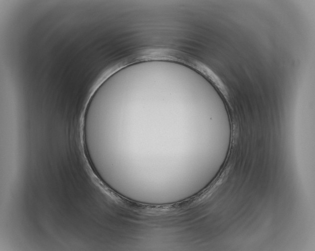 X0000110741386200906150920