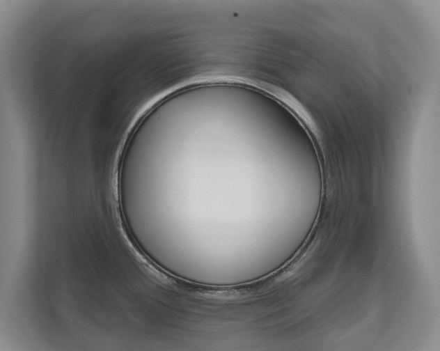 X0000110741388200906150920