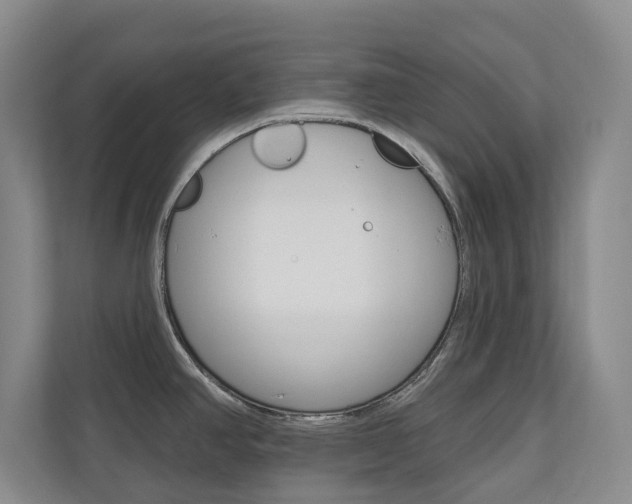 X0000110741390200906150920