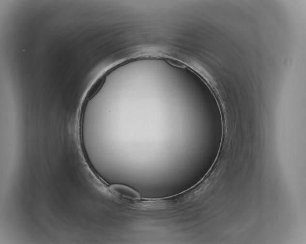 X0000110741392200906150920