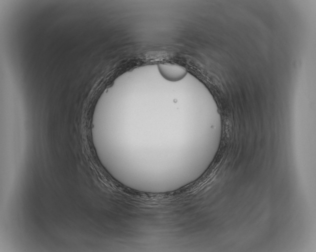 X0000110741393200906150919