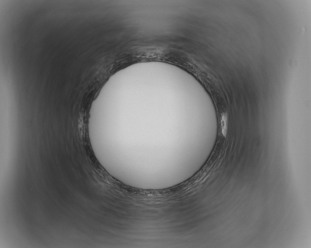 X0000110741395200906150919