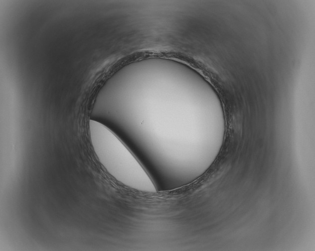X0000110741398200906150919