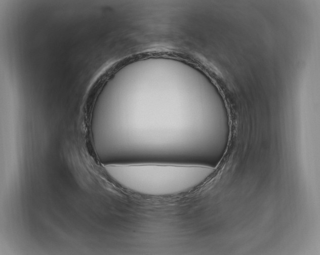 X0000110741400200906150919