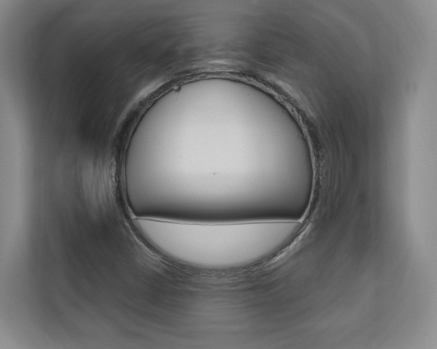 X0000110741402200906150919