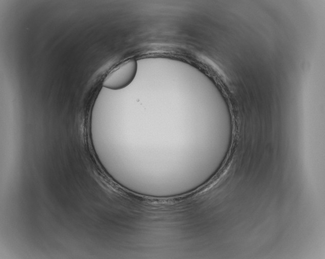 X0000110741403200906150919