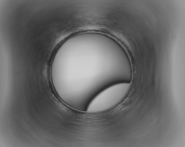 X0000110741404200906150919