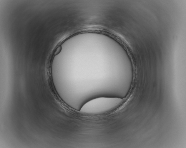 X0000110741405200906150919