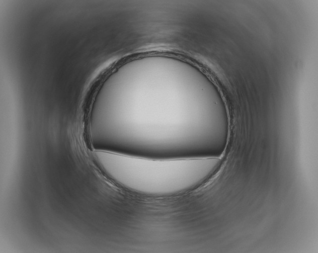 X0000110741406200906150919