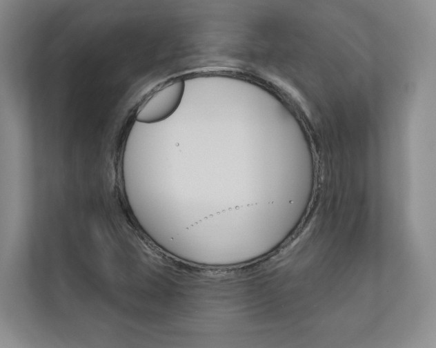 X0000110741407200906150919