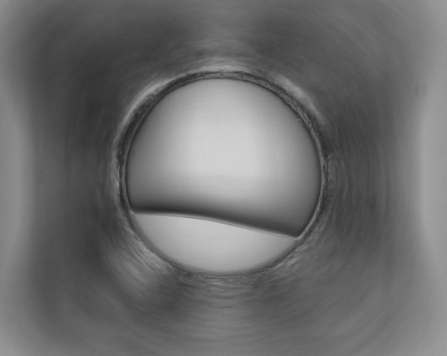 X0000110741408200906150919