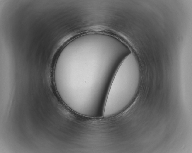 X0000110741410200906150919