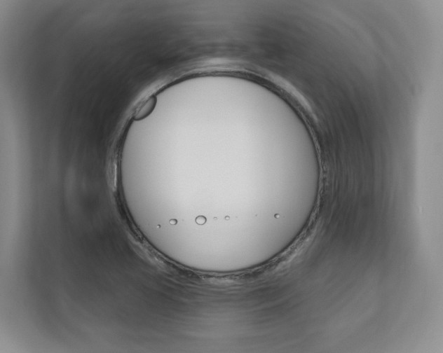X0000110741413200906150920