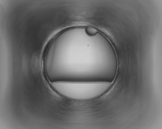 X0000110741414200906150920