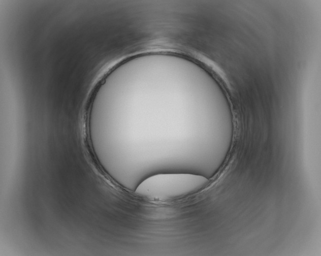 X0000110741415200906150920