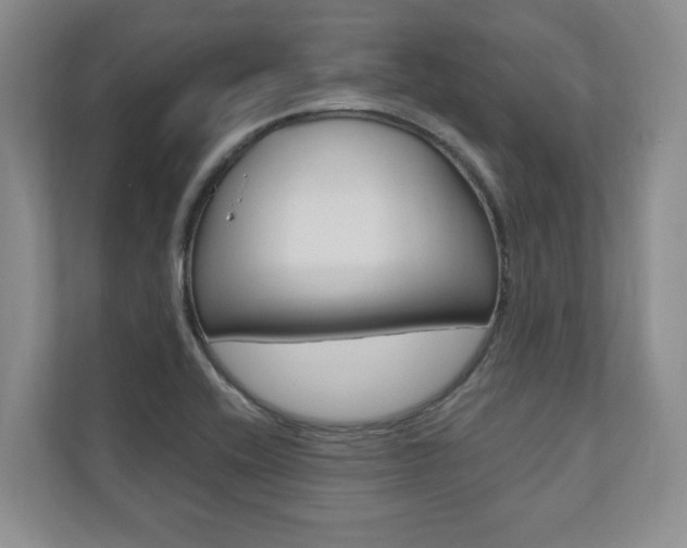 X0000110741416200906150920